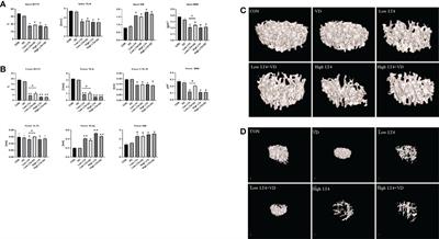 Vitamin D inhibits bone loss in mice with thyrotoxicosis by activating the OPG/RANKL and Wnt/β-catenin signaling pathways